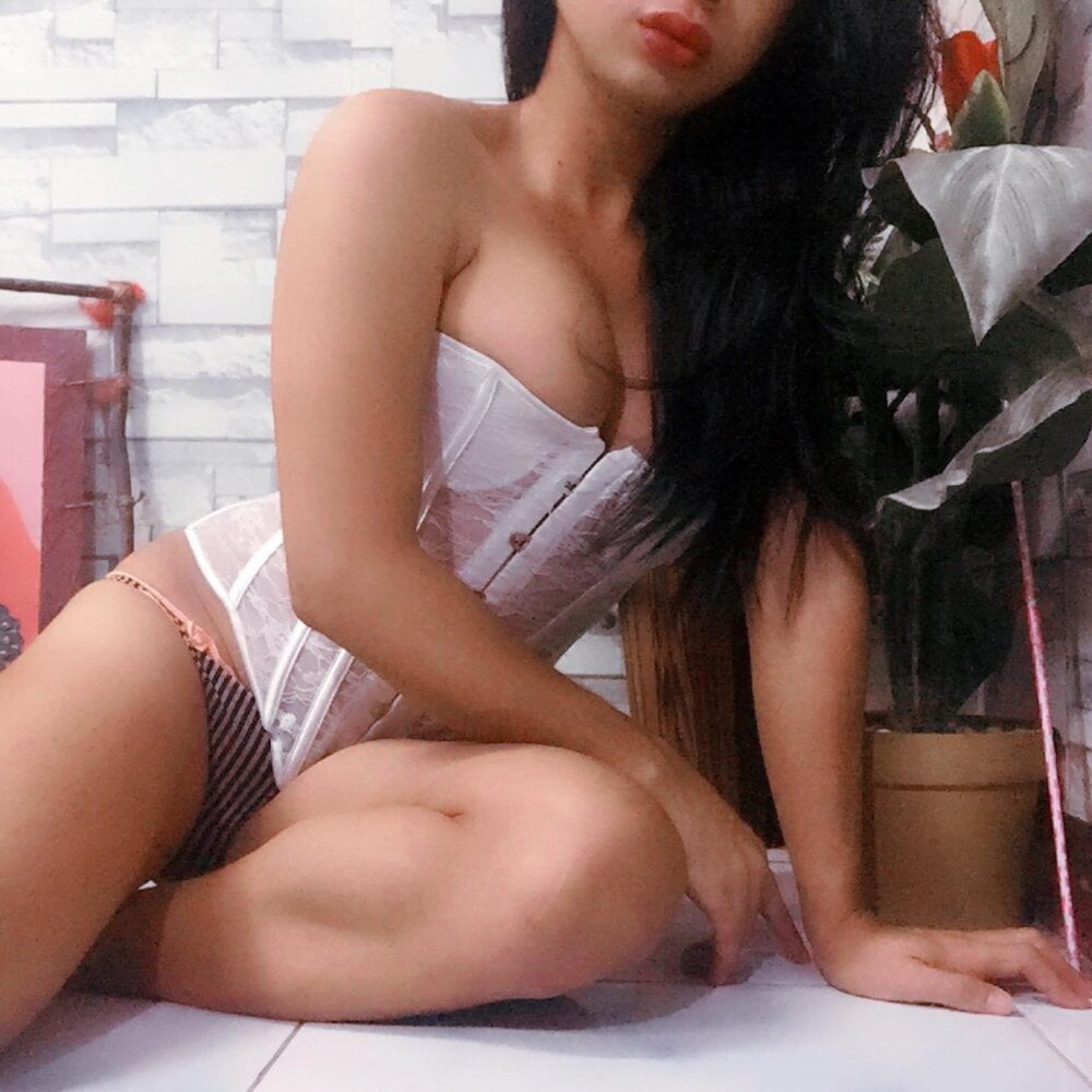 24cmCumpalmer