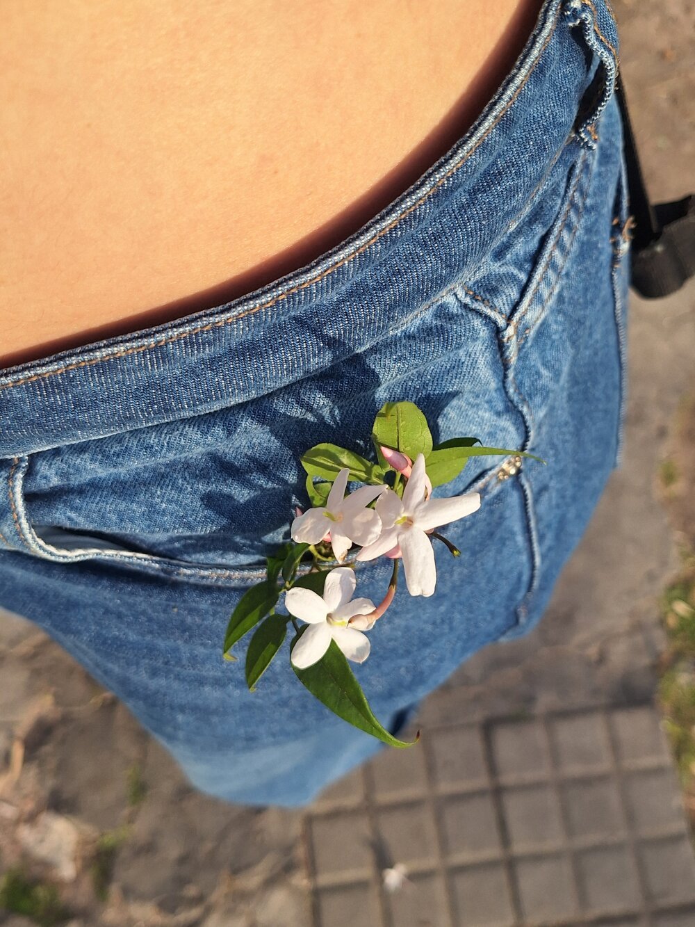 Aya24__