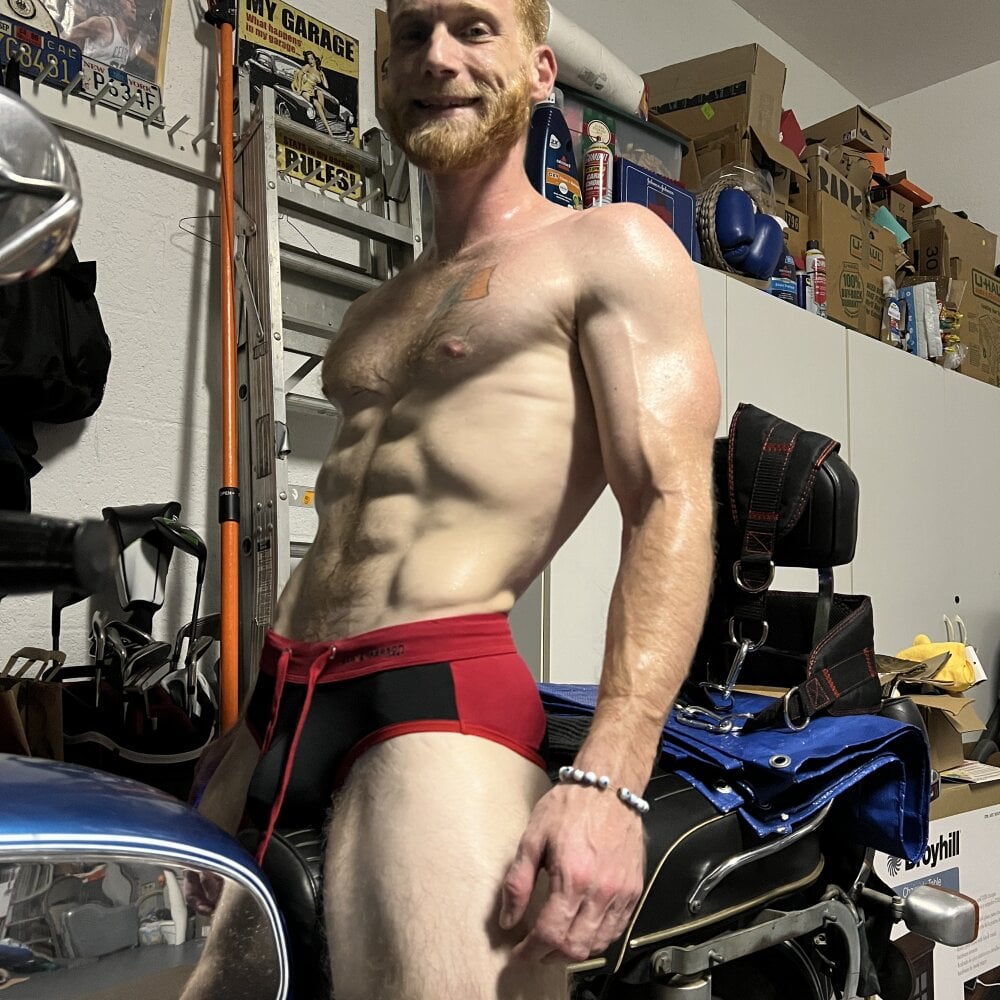 Blue_Eyed_Scotty