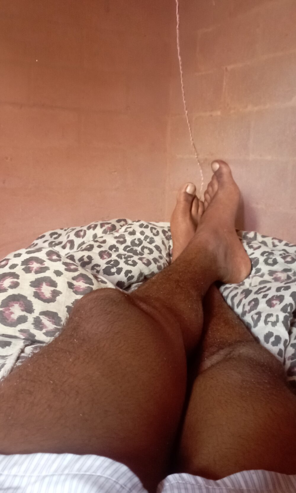 Bullboy99