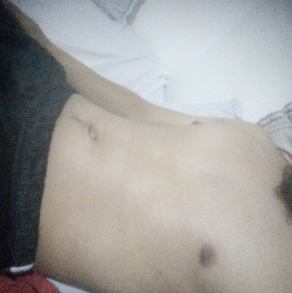 Camilogato1