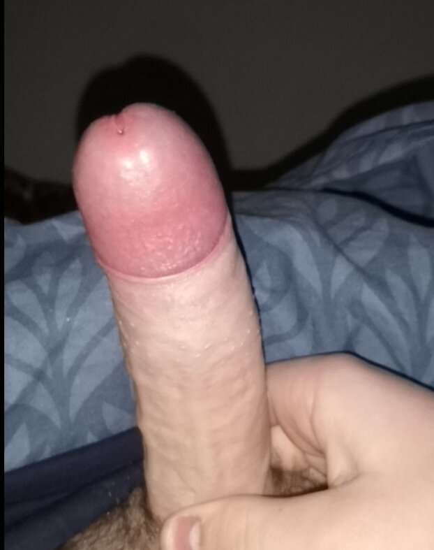 Ciekawy66