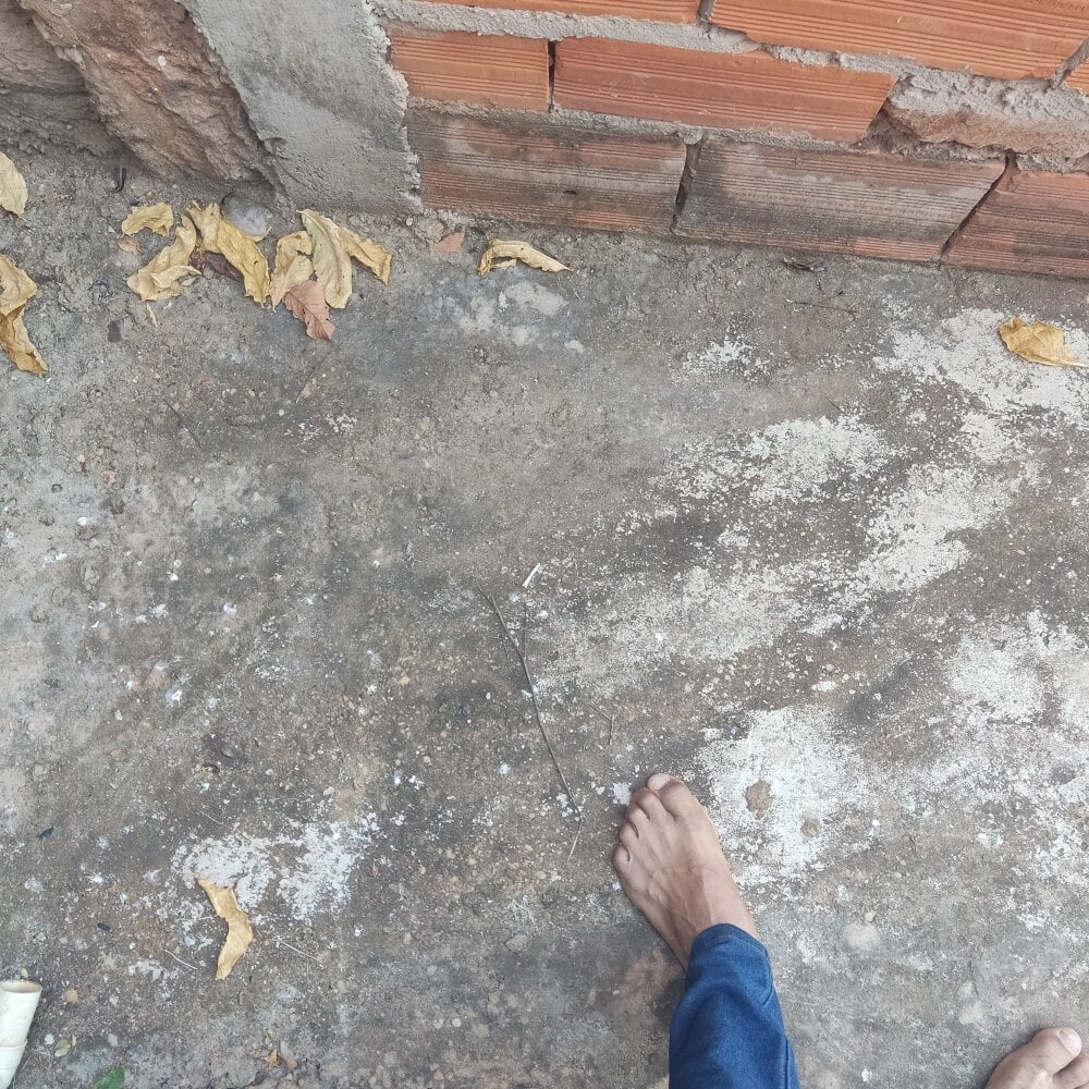 Comexotaquente