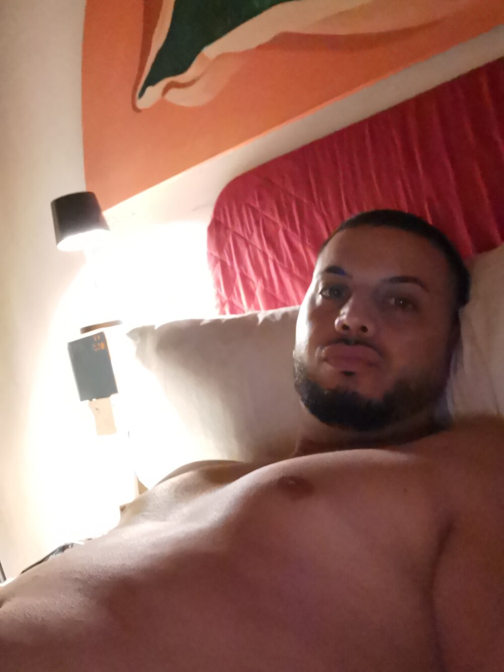 Damysborrattiva