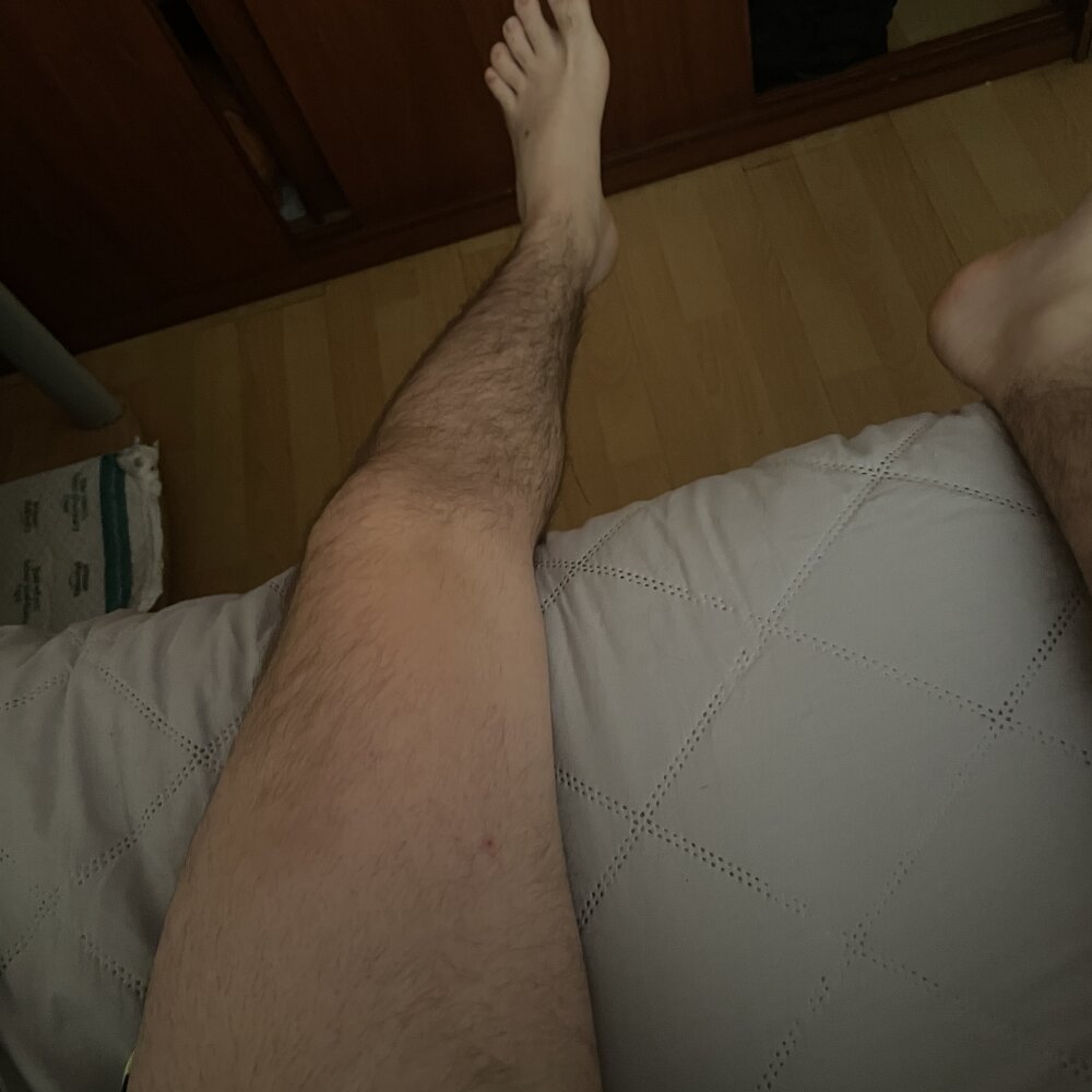 Felipegwt