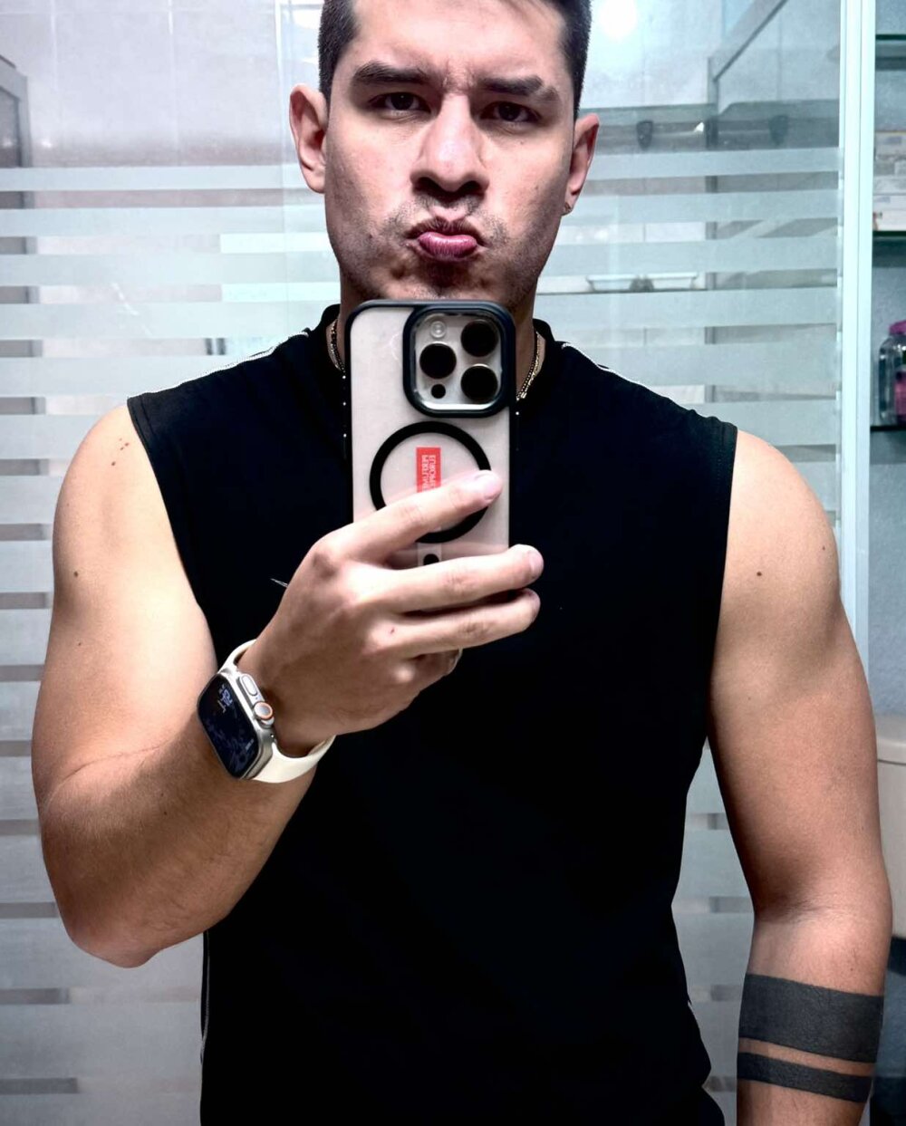 Fer_DT