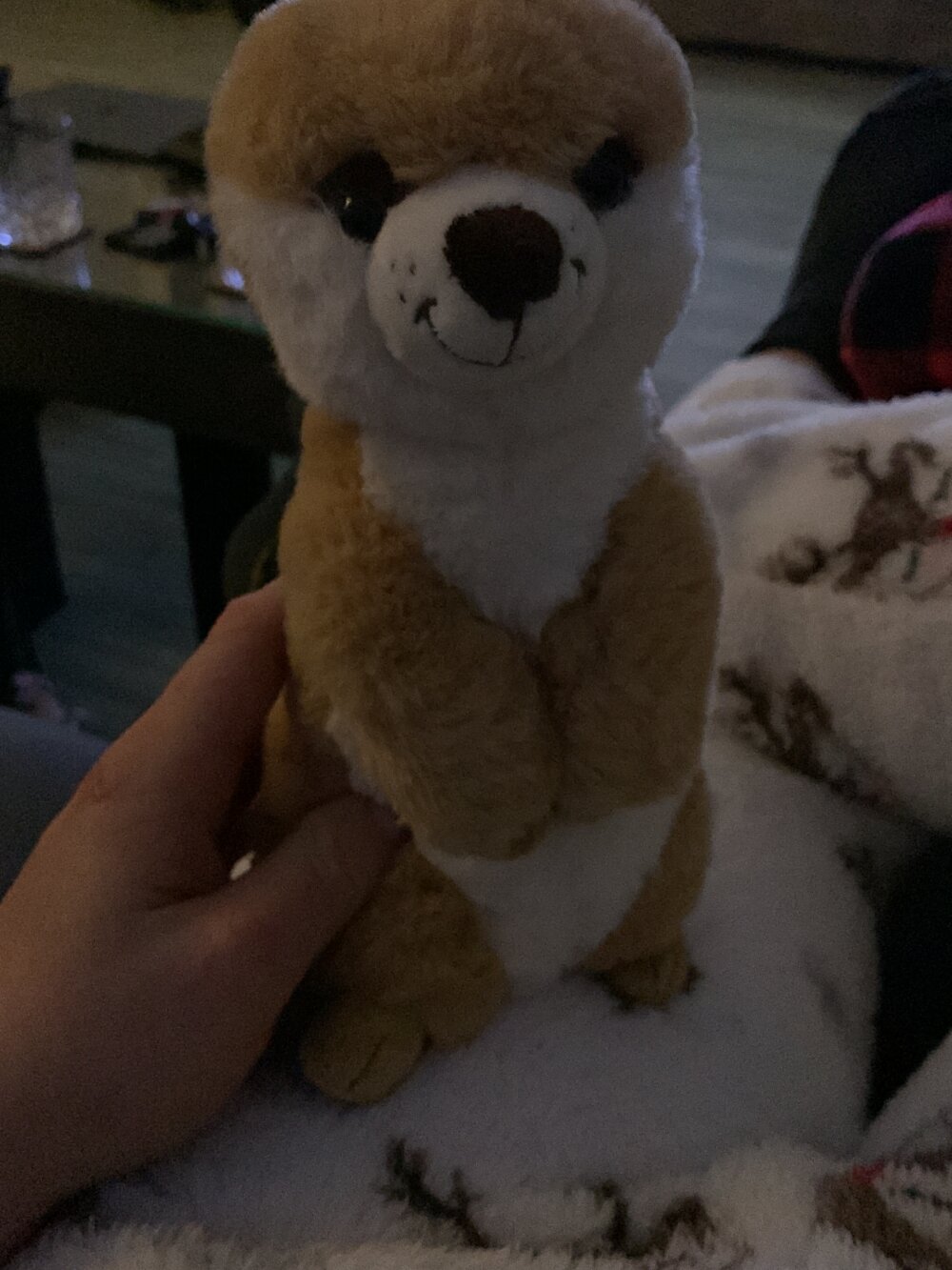 Finni0405