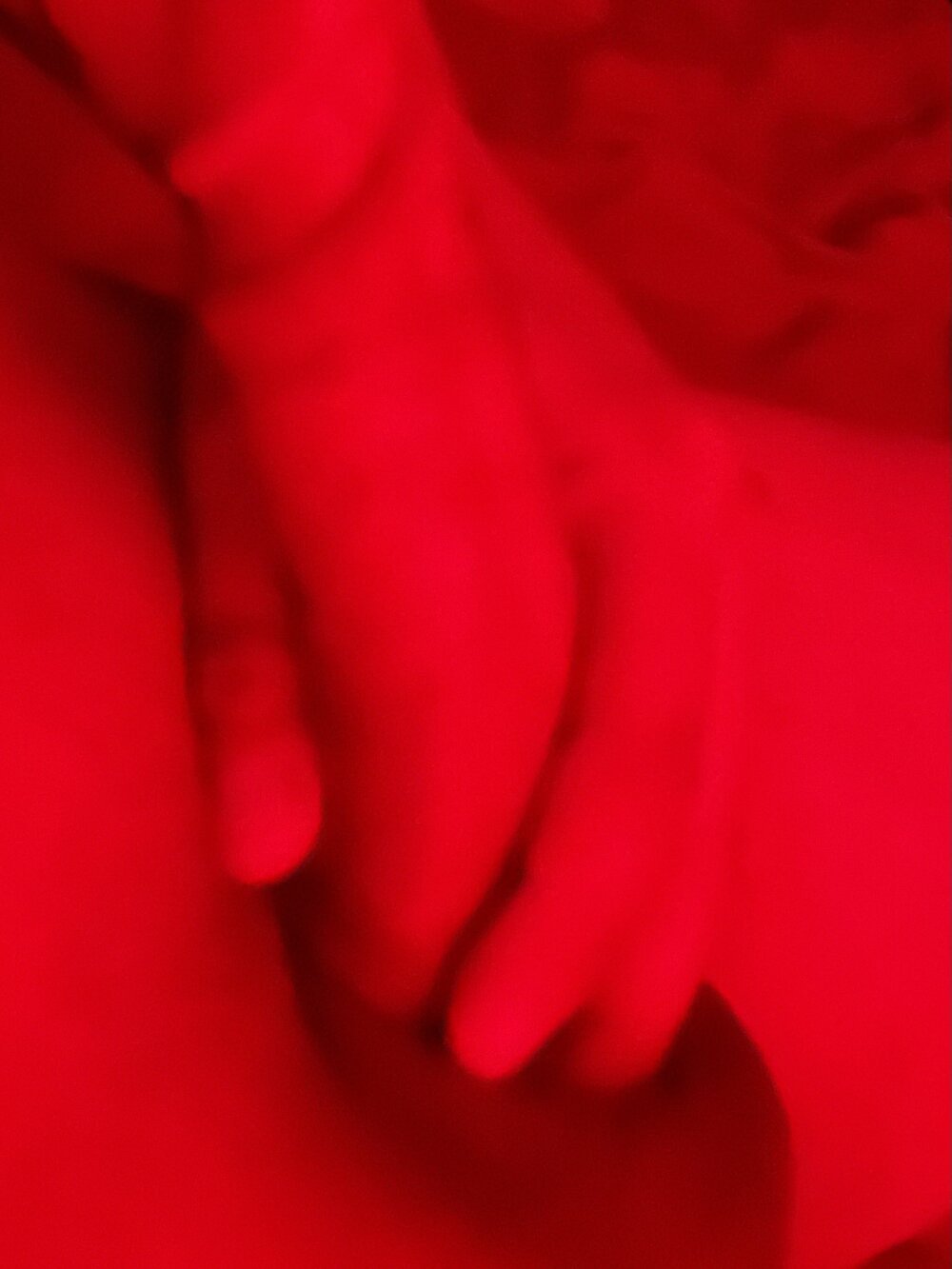 GaboCPN