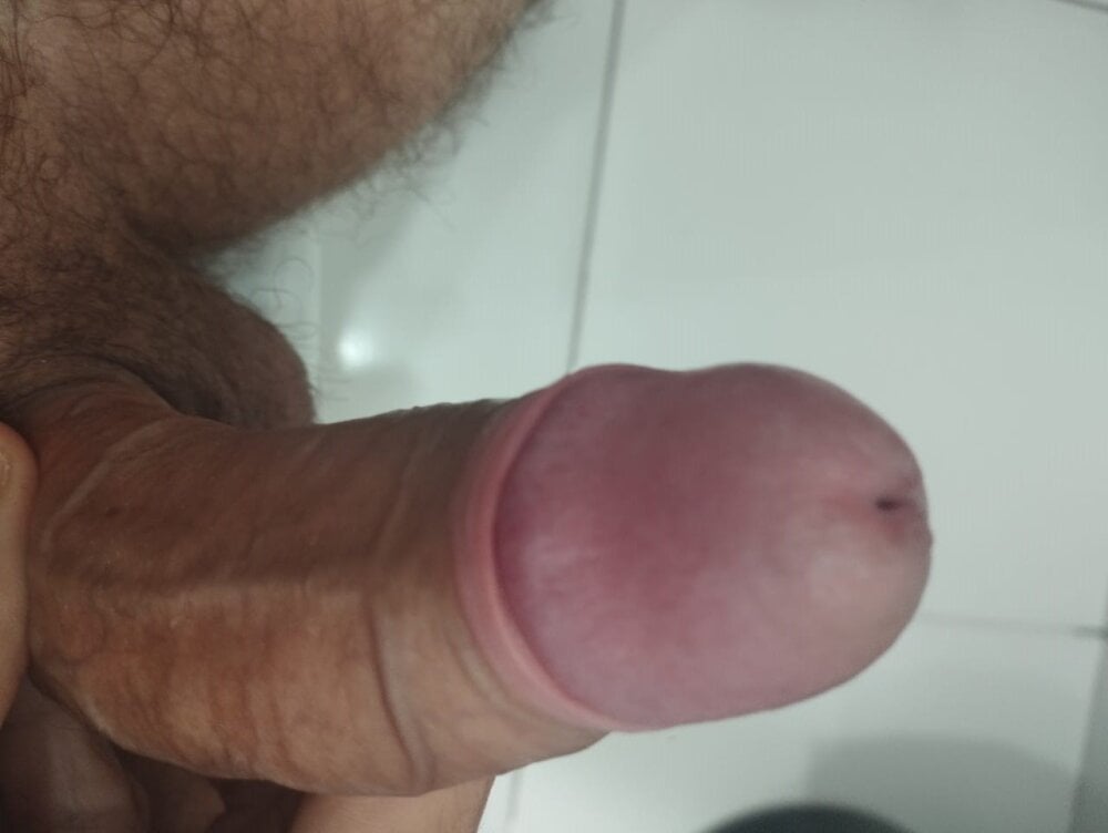 Gatoproibido