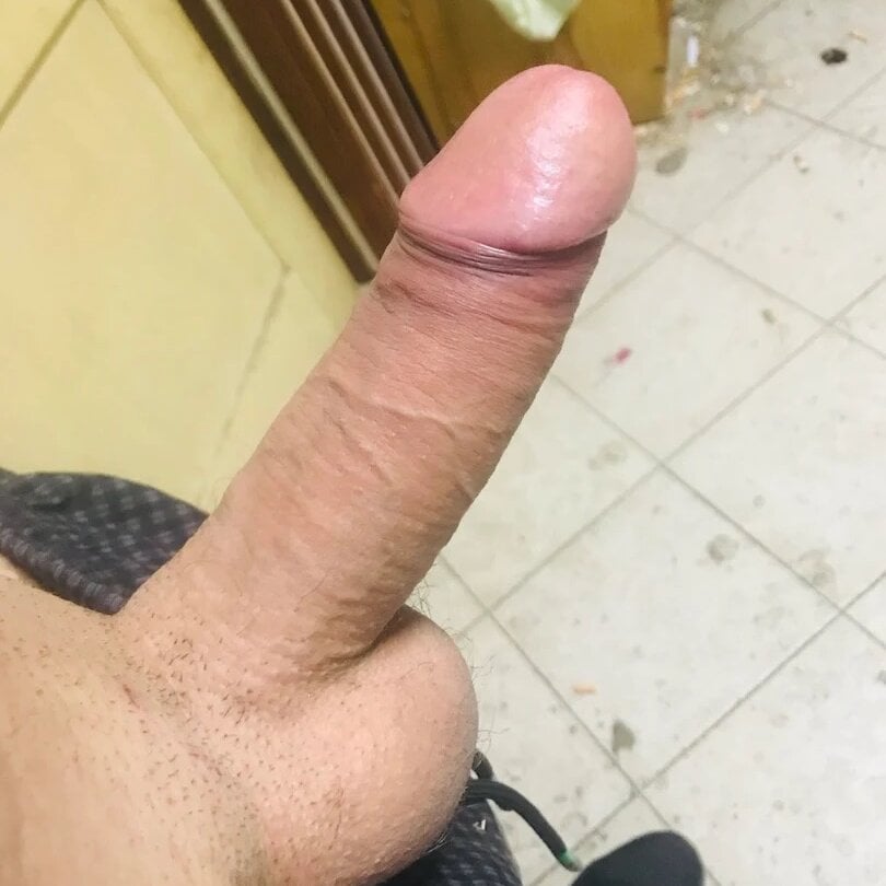Gogin83