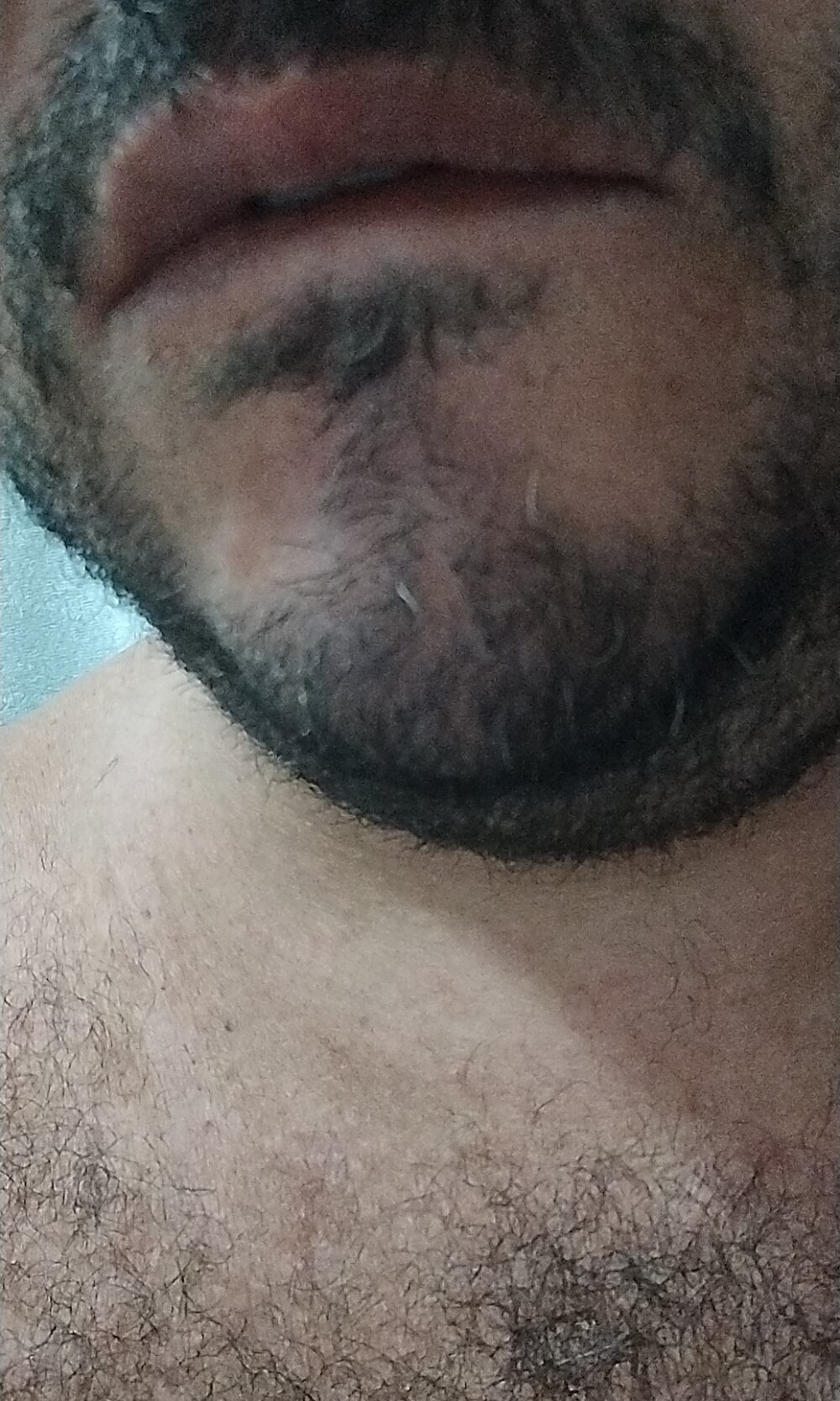 GordimTotoso