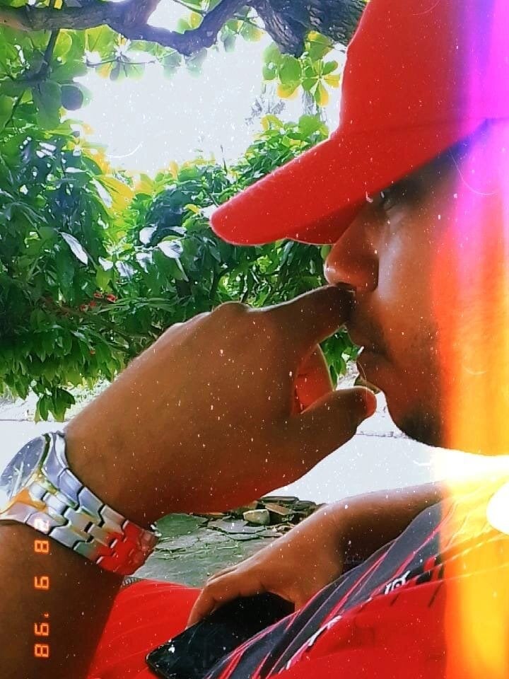GordoSafadinho