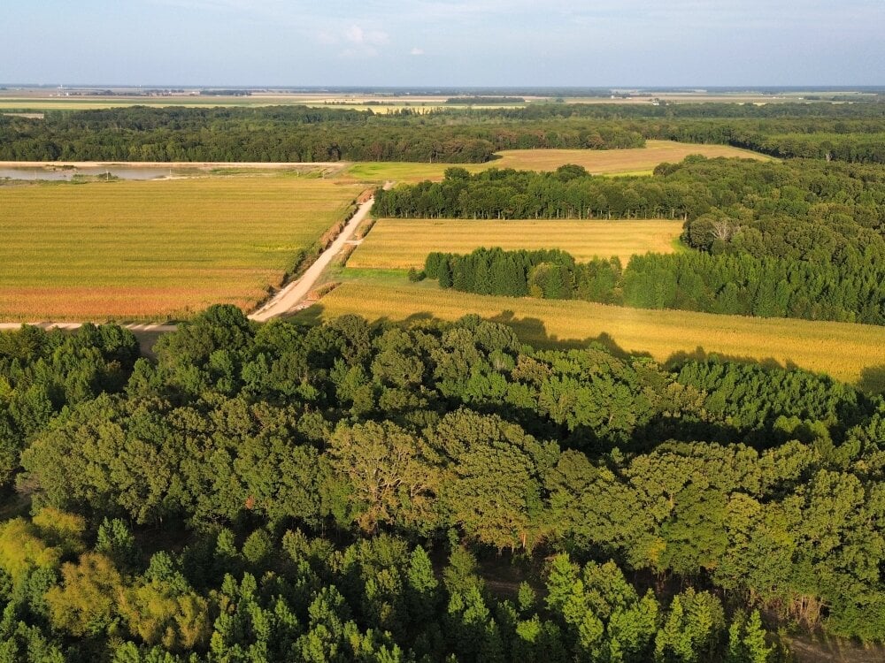 Grootpiel012