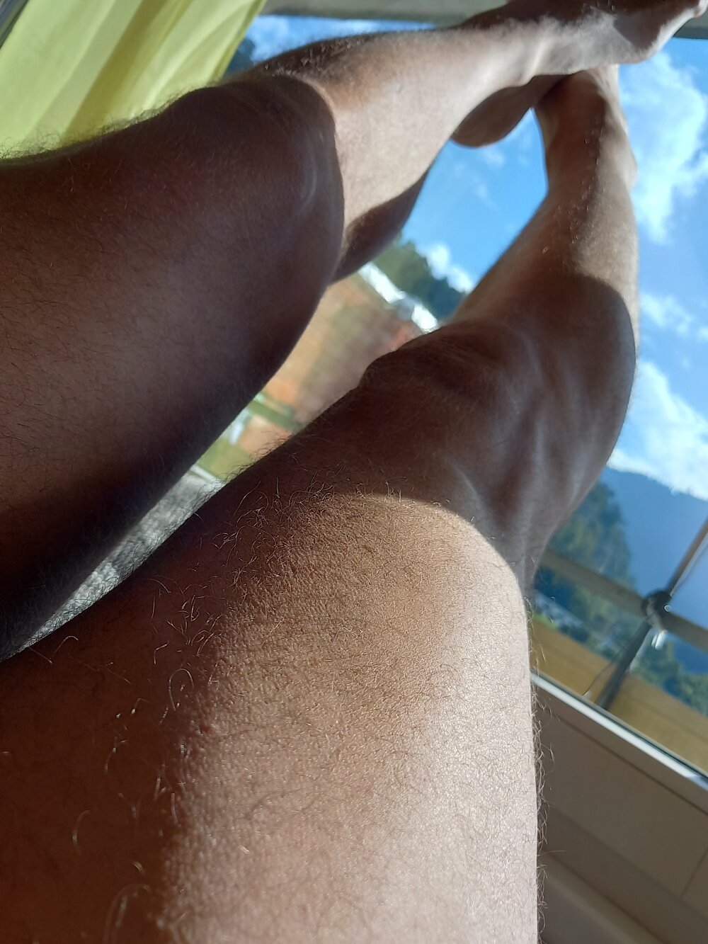HairyHighboy