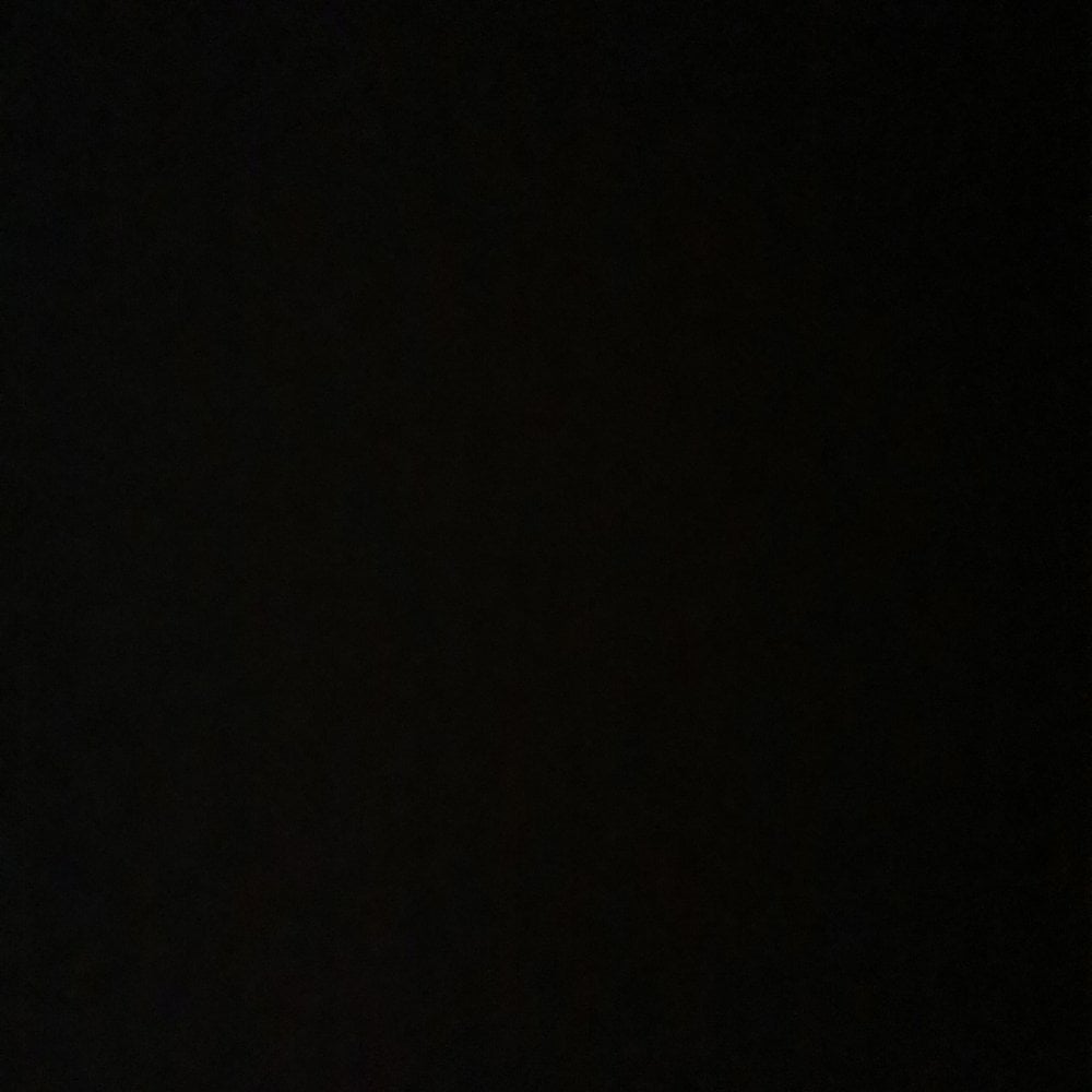 Leika1020