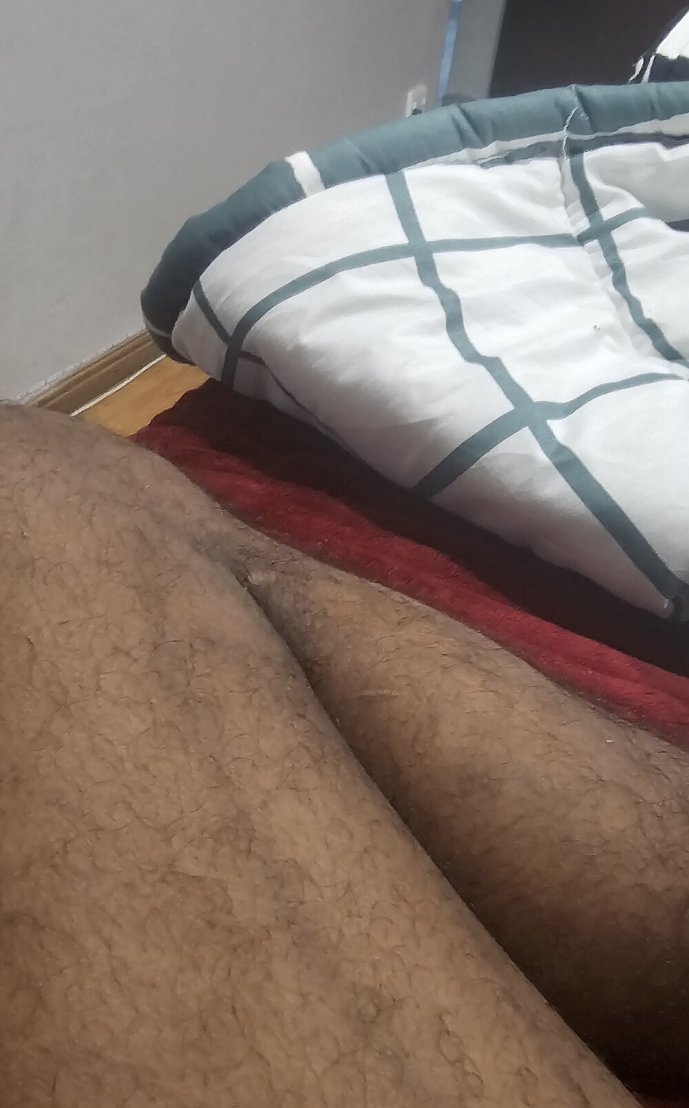 LtheColouredBOY