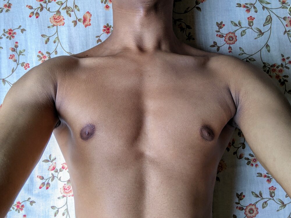 Lusty_Stallion