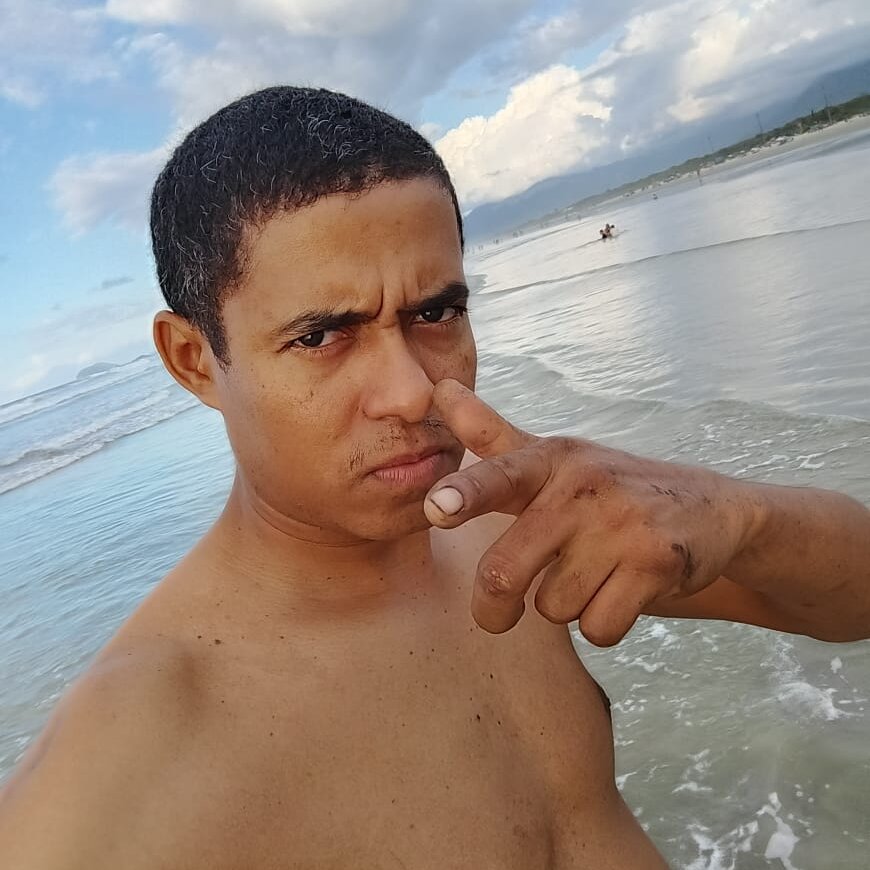 MaxMlkZica