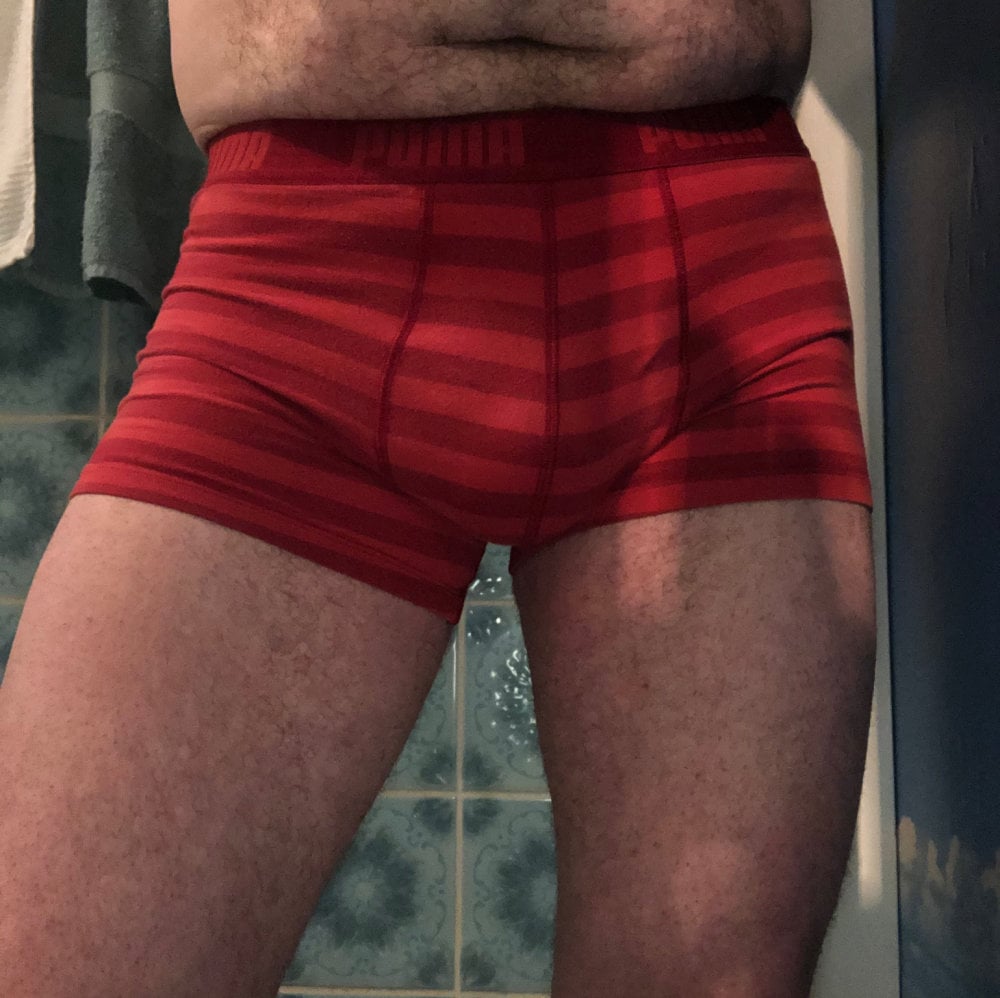 Mike_Teddybaer