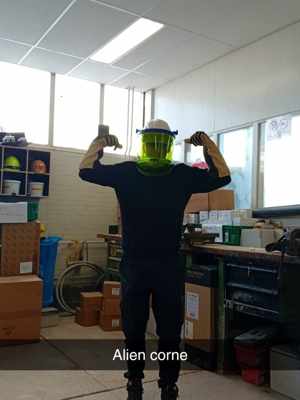Milo_messenmaker1