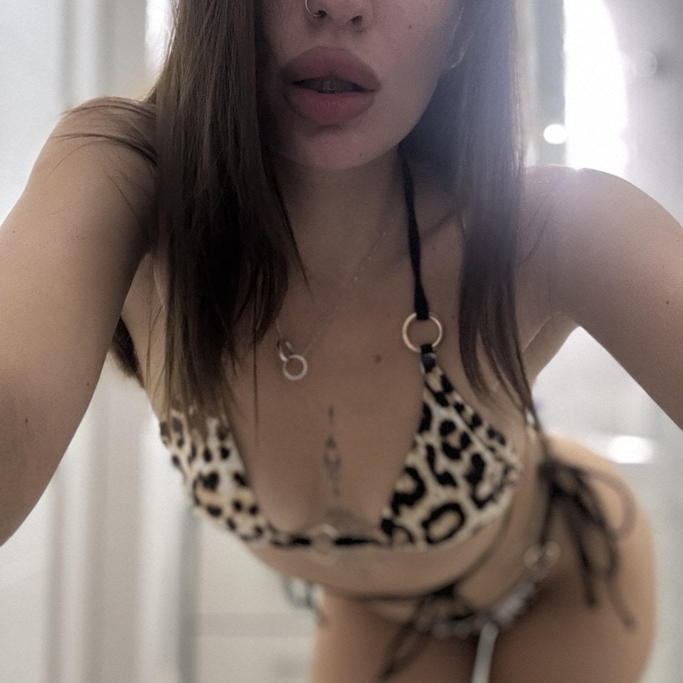 Mollybengis