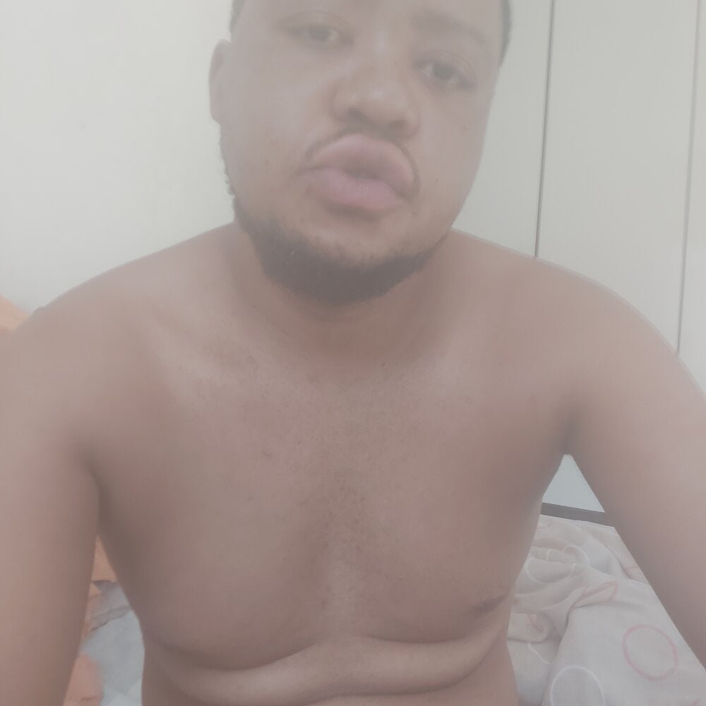 MrBearYellow