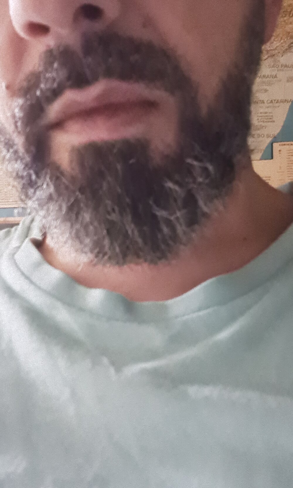 MrSouza33