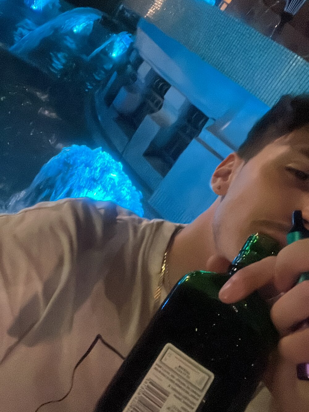 NegativBanderas7