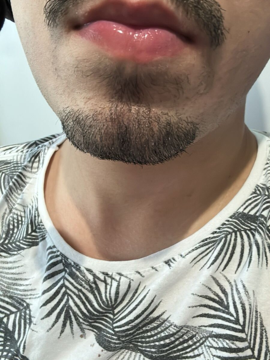 Novin21_24