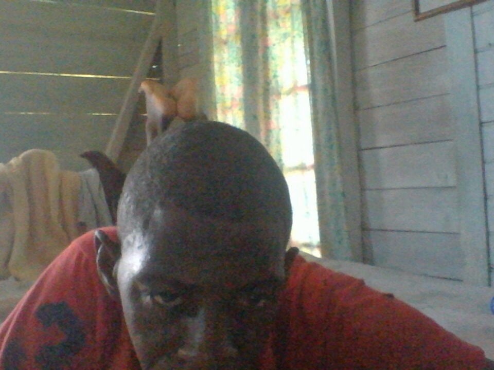 PELOVER