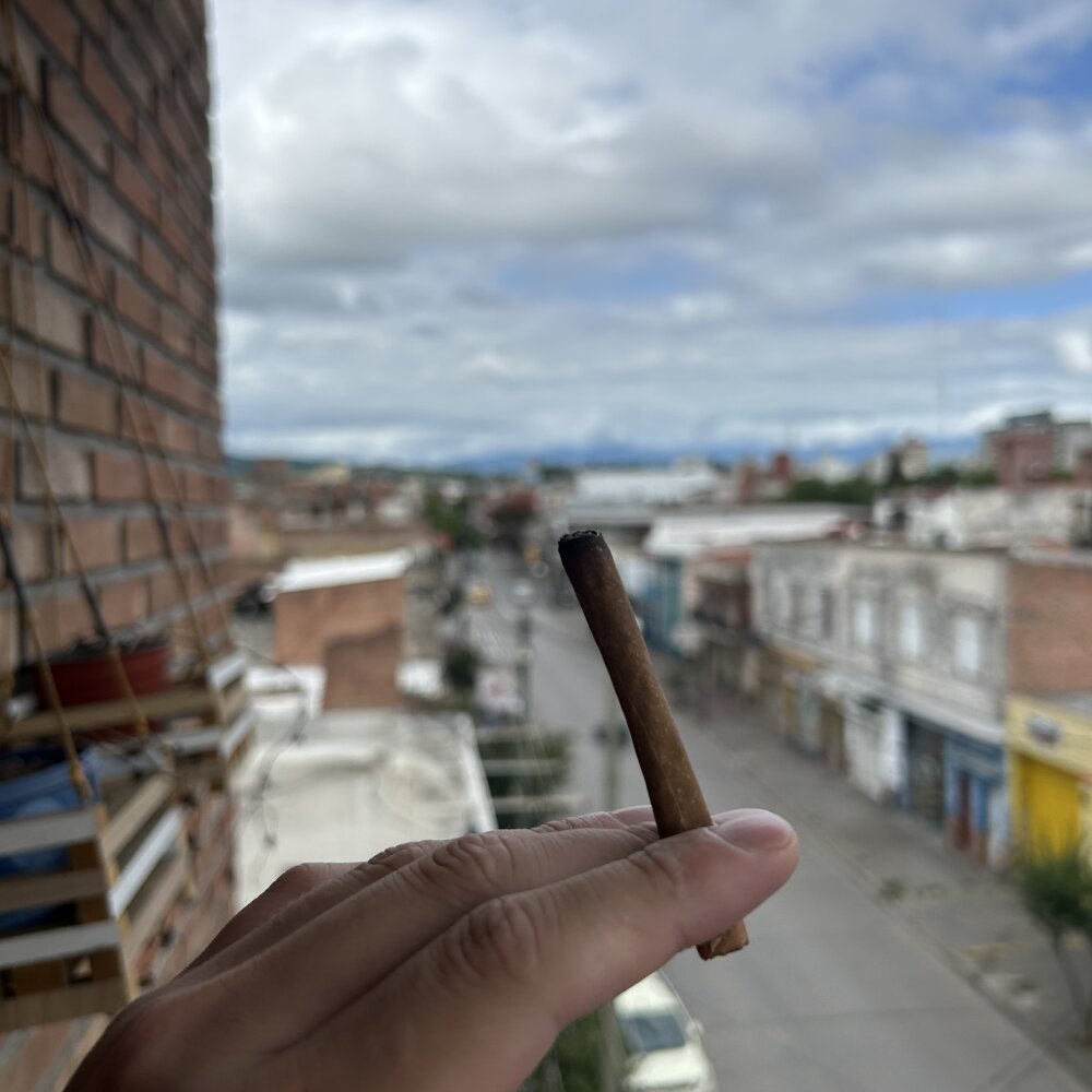 PetitteAnal