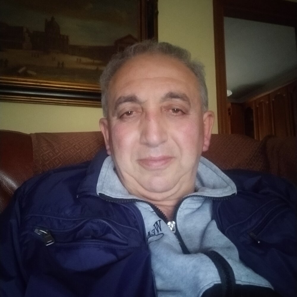 Pettirosso