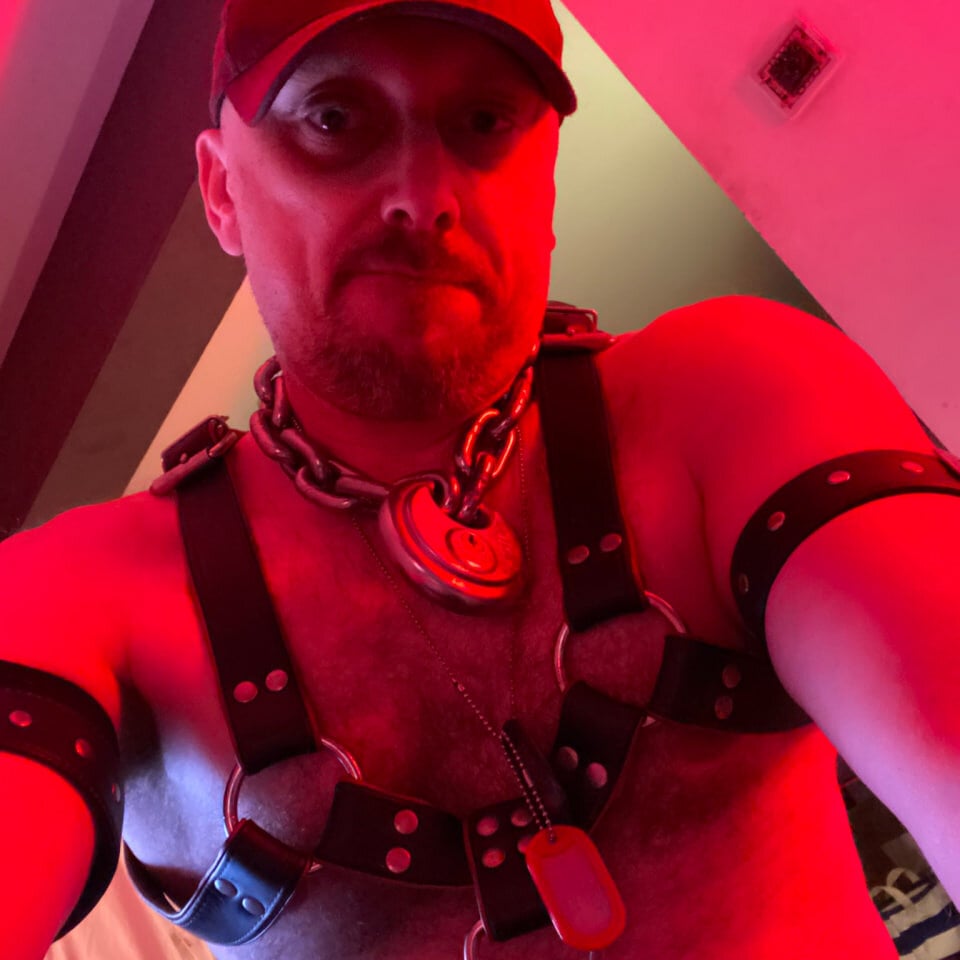 PigDadDog