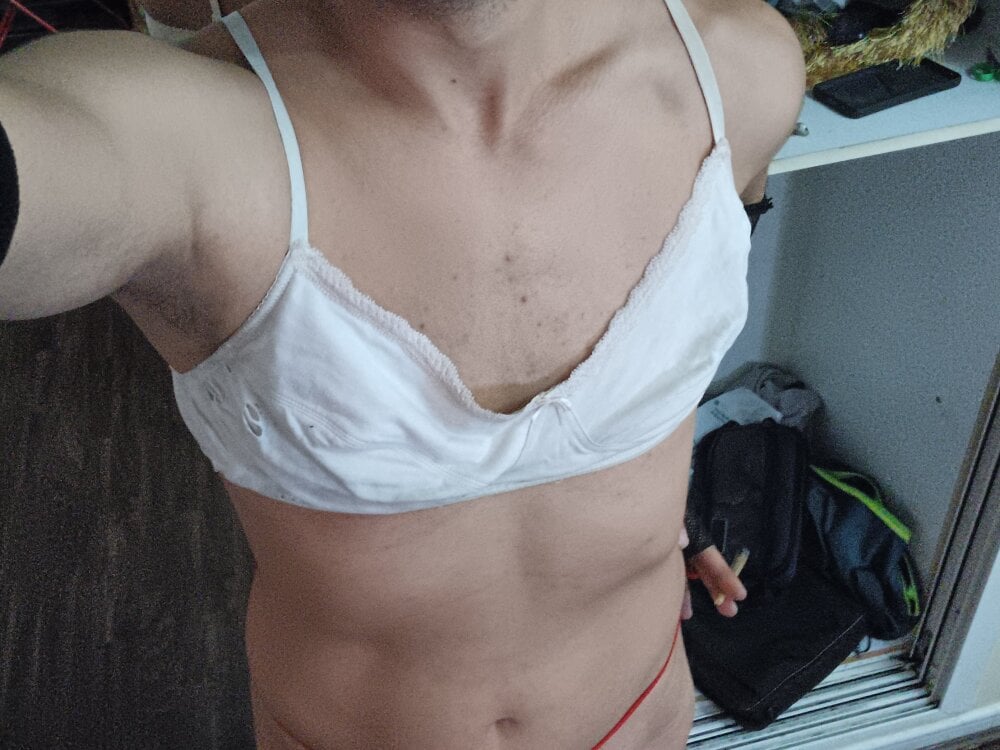 PuPAudy