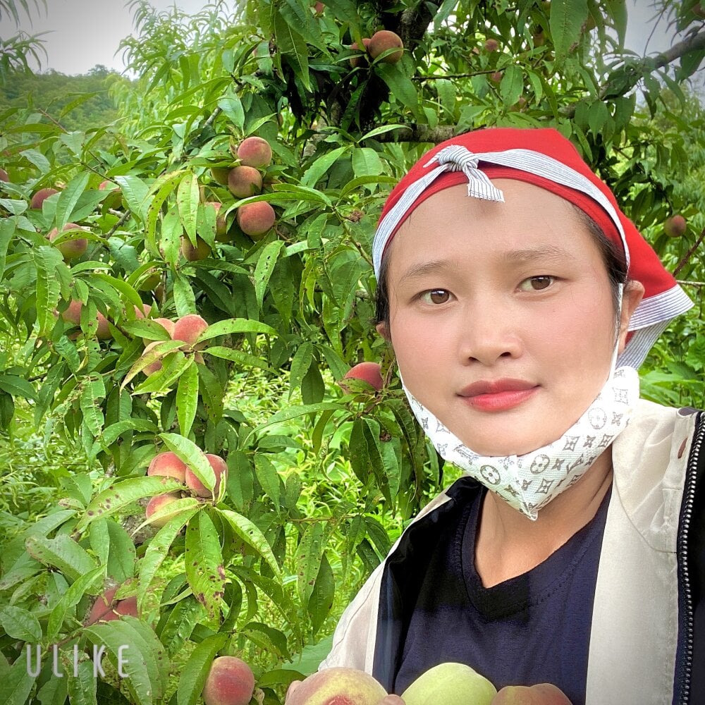 Qansin