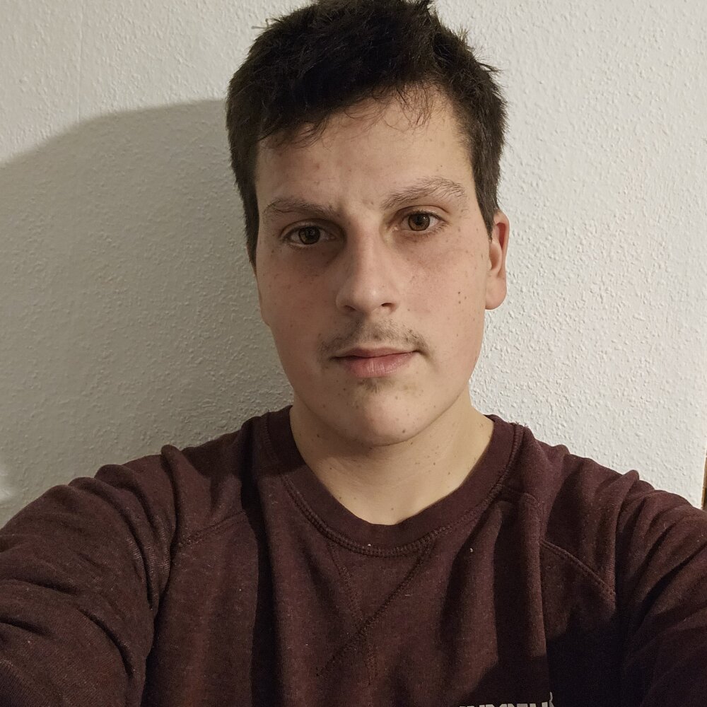 Ray2450x