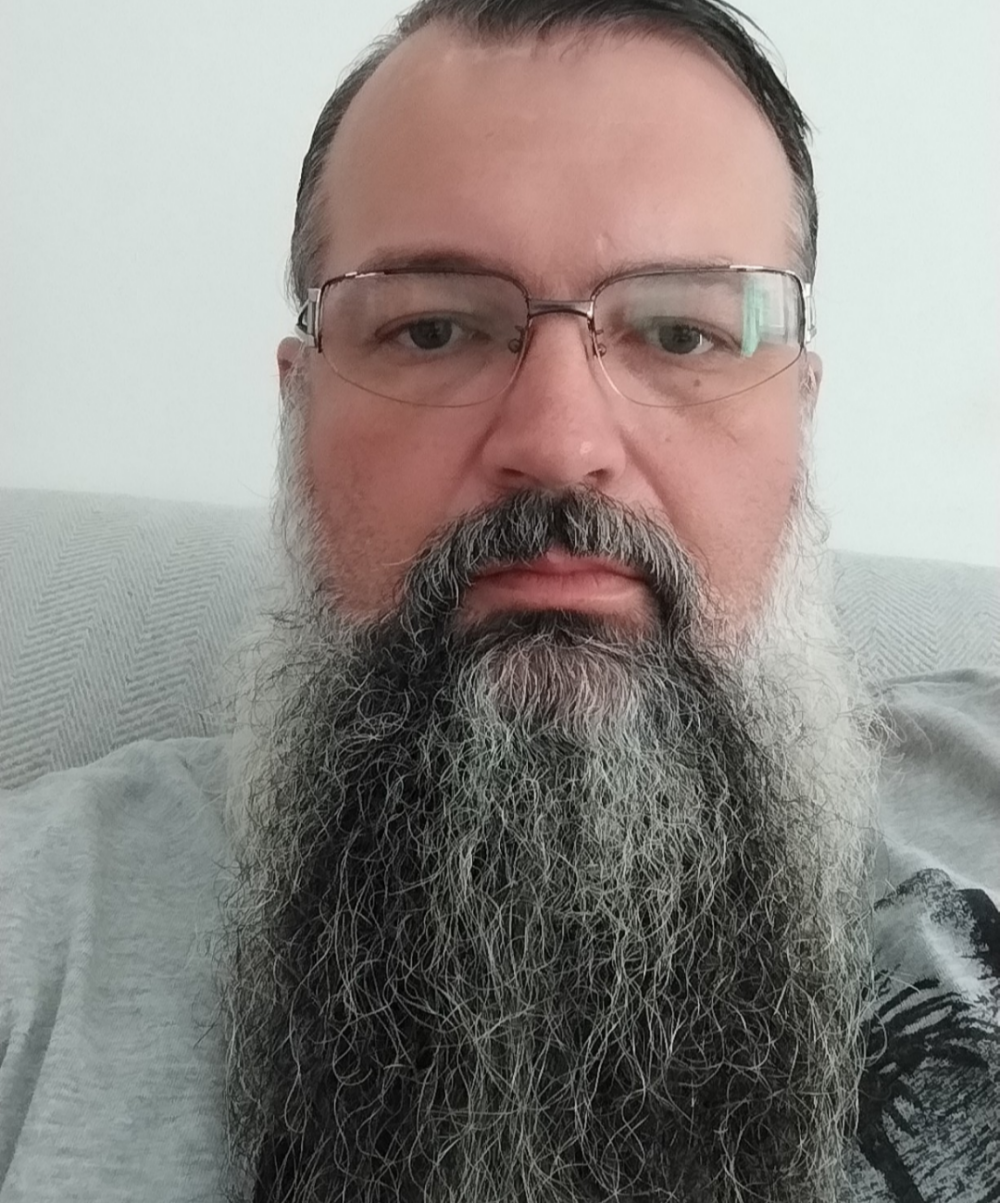 RobViking
