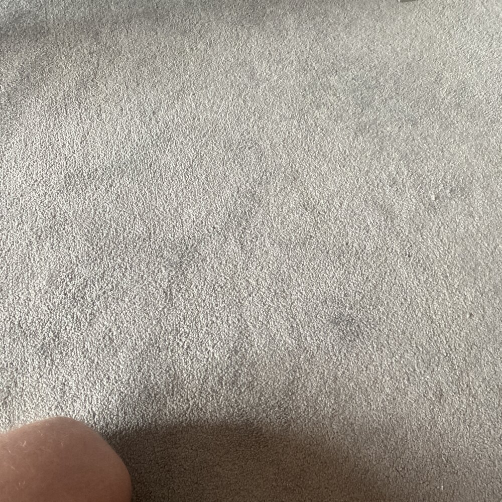 RottedReceipt
