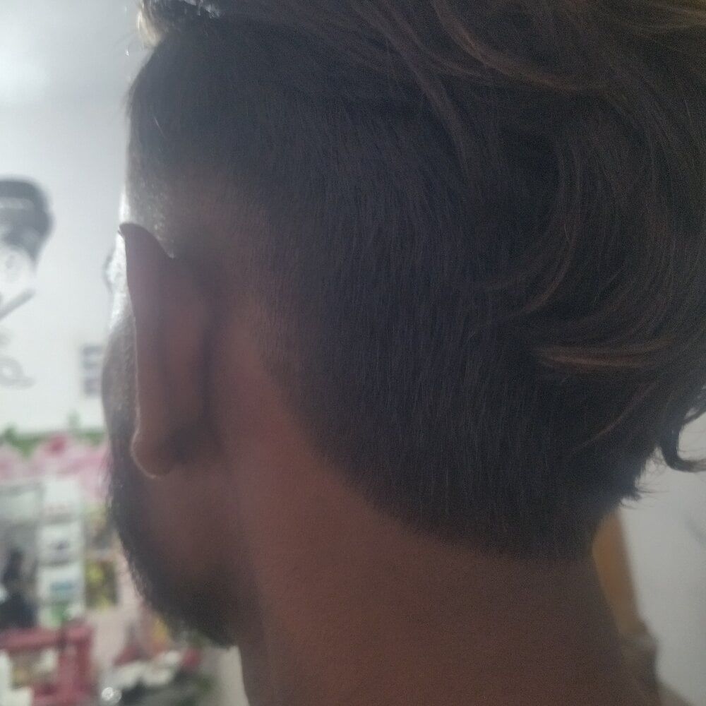 Sandu05