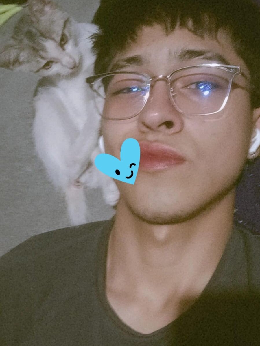 Sebas_mask