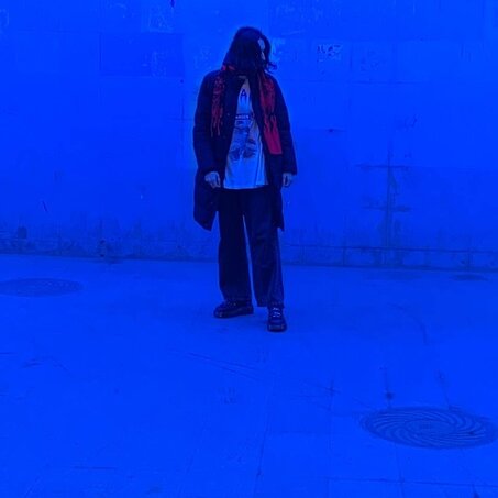 Shadow_Fox