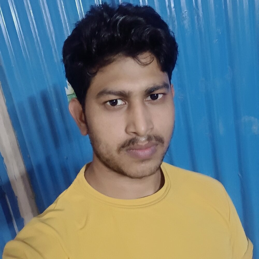 SilverBee4
