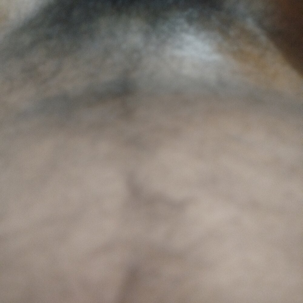 Slvijay