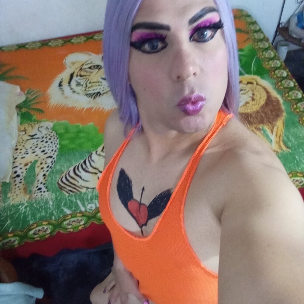 TransLareinadelSur2025