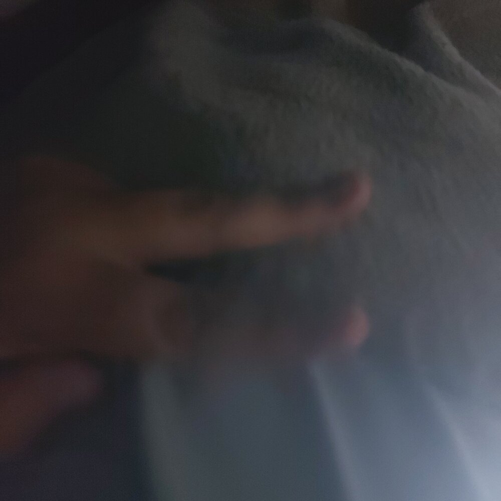 Willyfog272