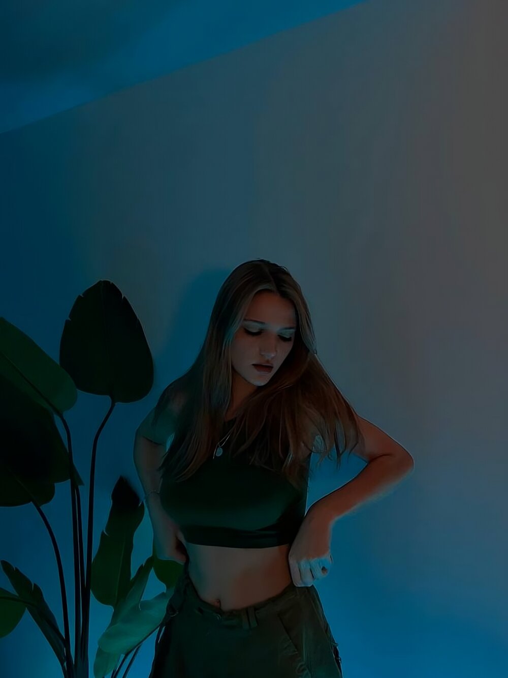 ZaraAven