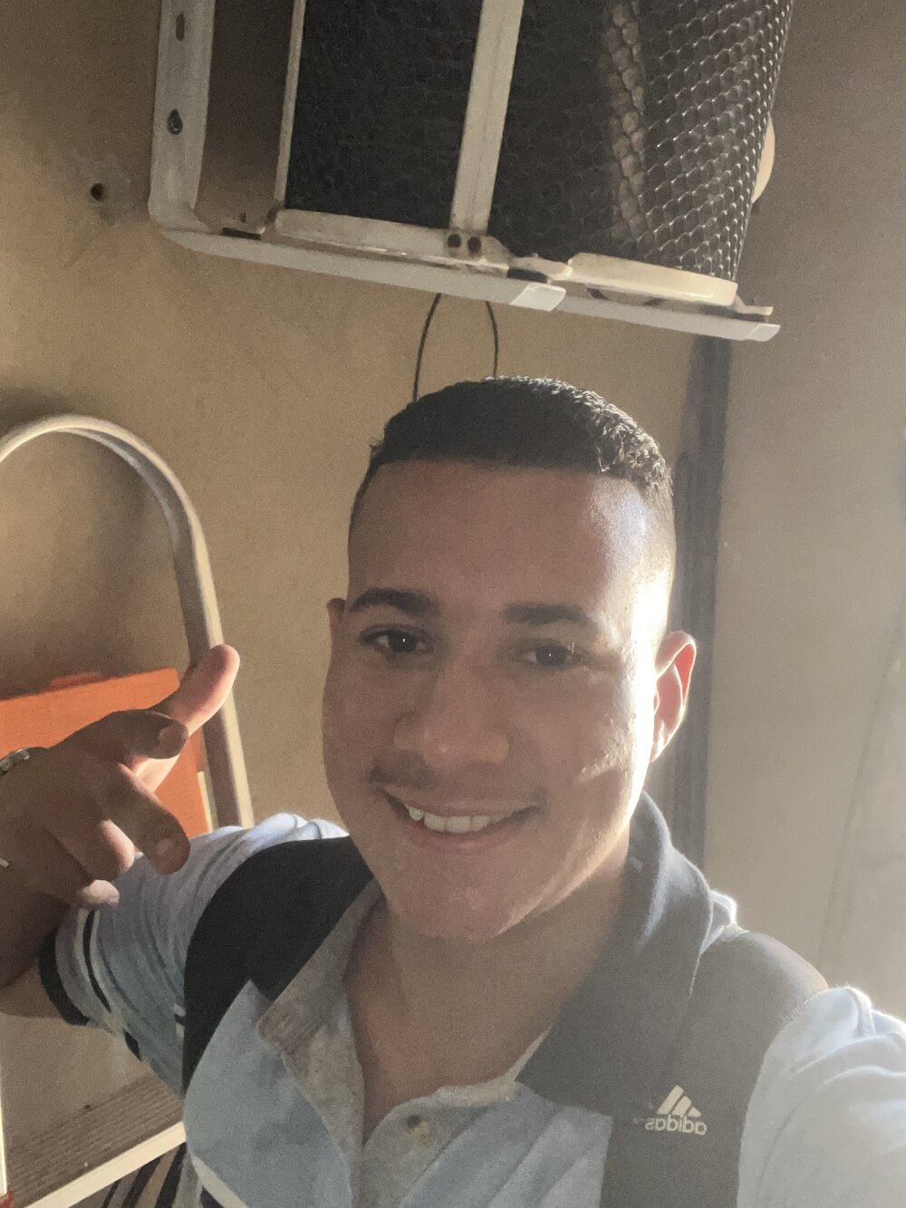 alebigode