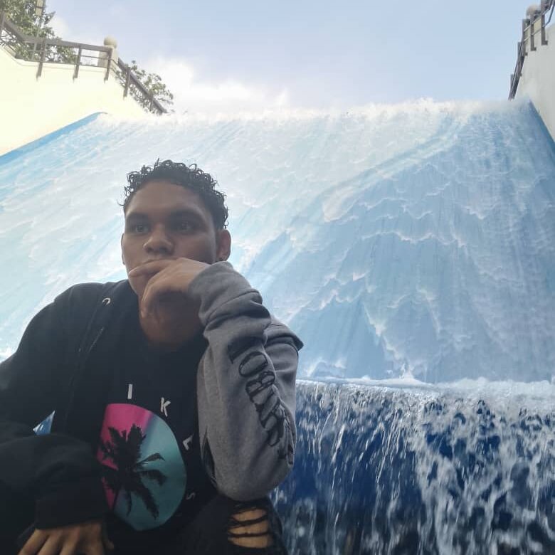 aleiver
