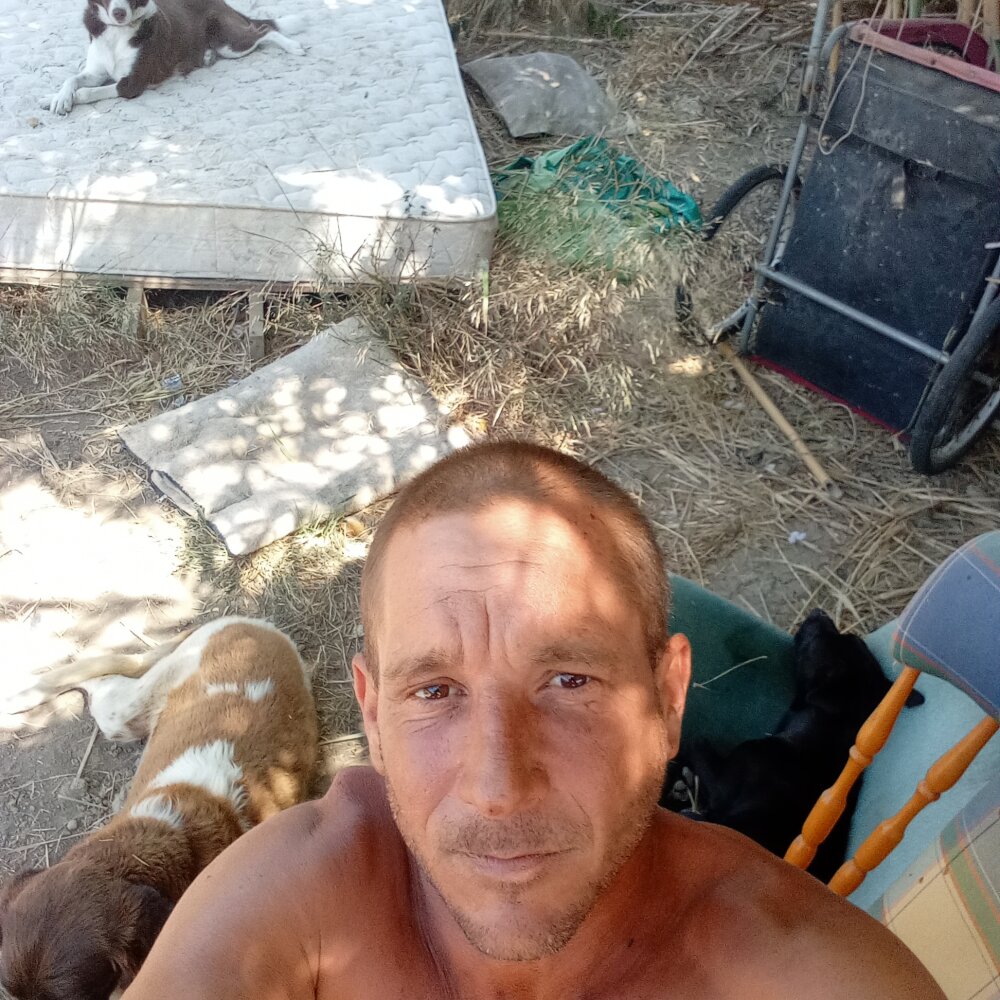 alex74alex74