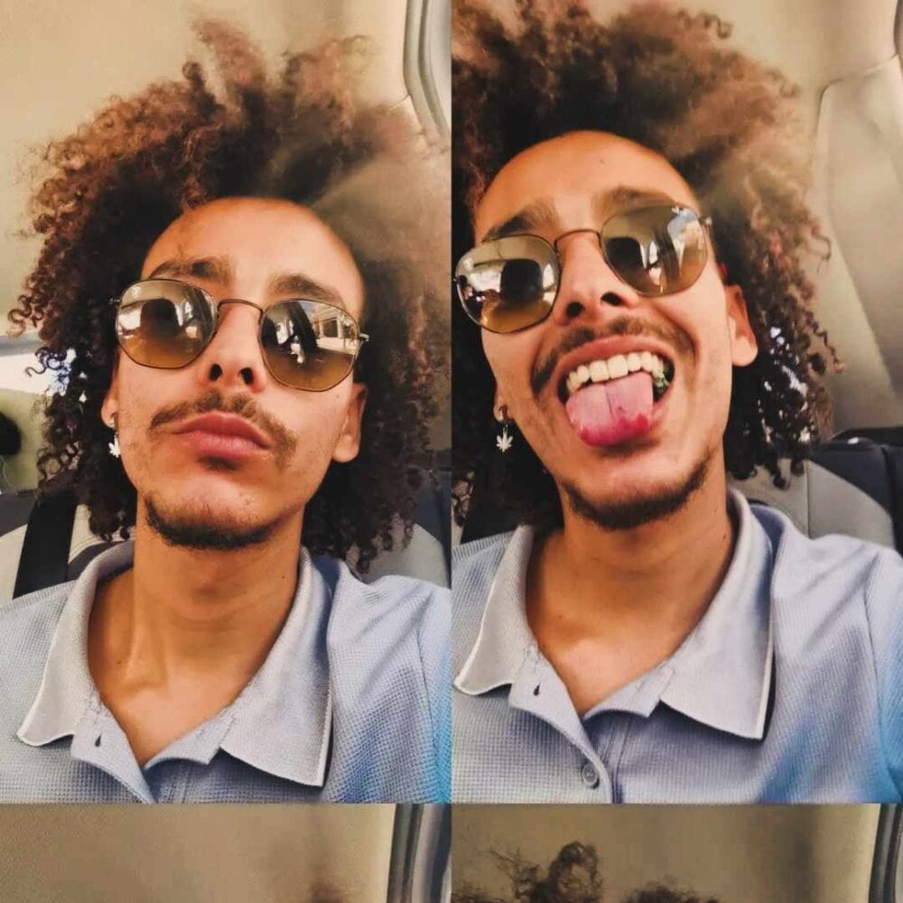 algerian_dom_69